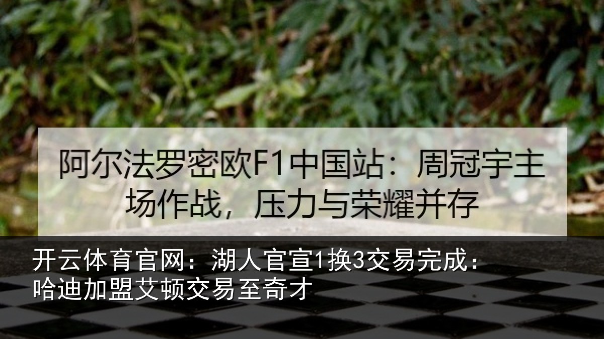 开云体育官网:湖人相关情况迪加相关情况